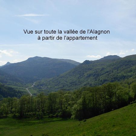 Vacances Au Pied Des Monts Du Cantal Laveissière Εξωτερικό φωτογραφία