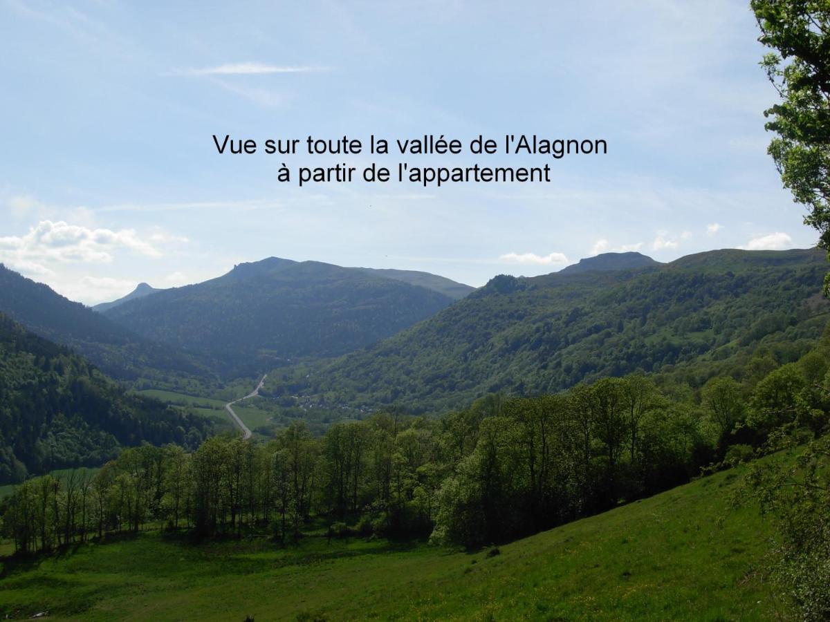 Vacances Au Pied Des Monts Du Cantal Laveissière Εξωτερικό φωτογραφία