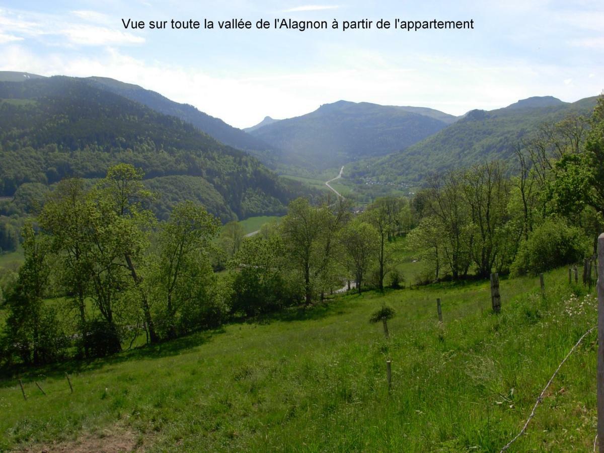 Vacances Au Pied Des Monts Du Cantal Laveissière Εξωτερικό φωτογραφία
