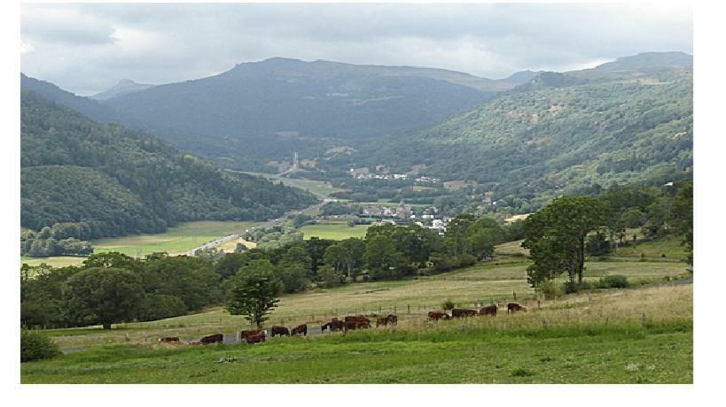 Vacances Au Pied Des Monts Du Cantal Laveissière Εξωτερικό φωτογραφία