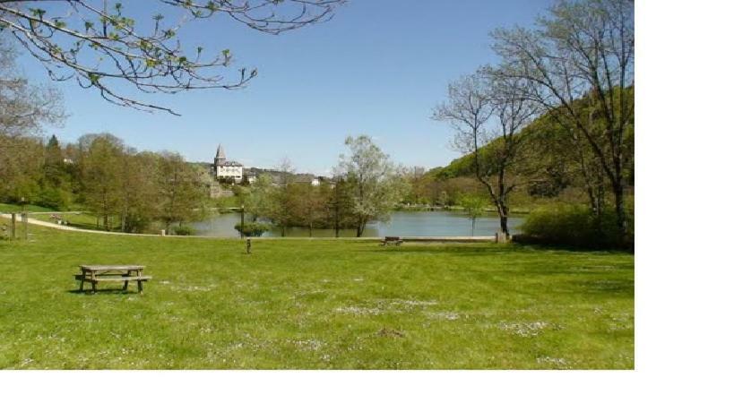 Vacances Au Pied Des Monts Du Cantal Laveissière Εξωτερικό φωτογραφία