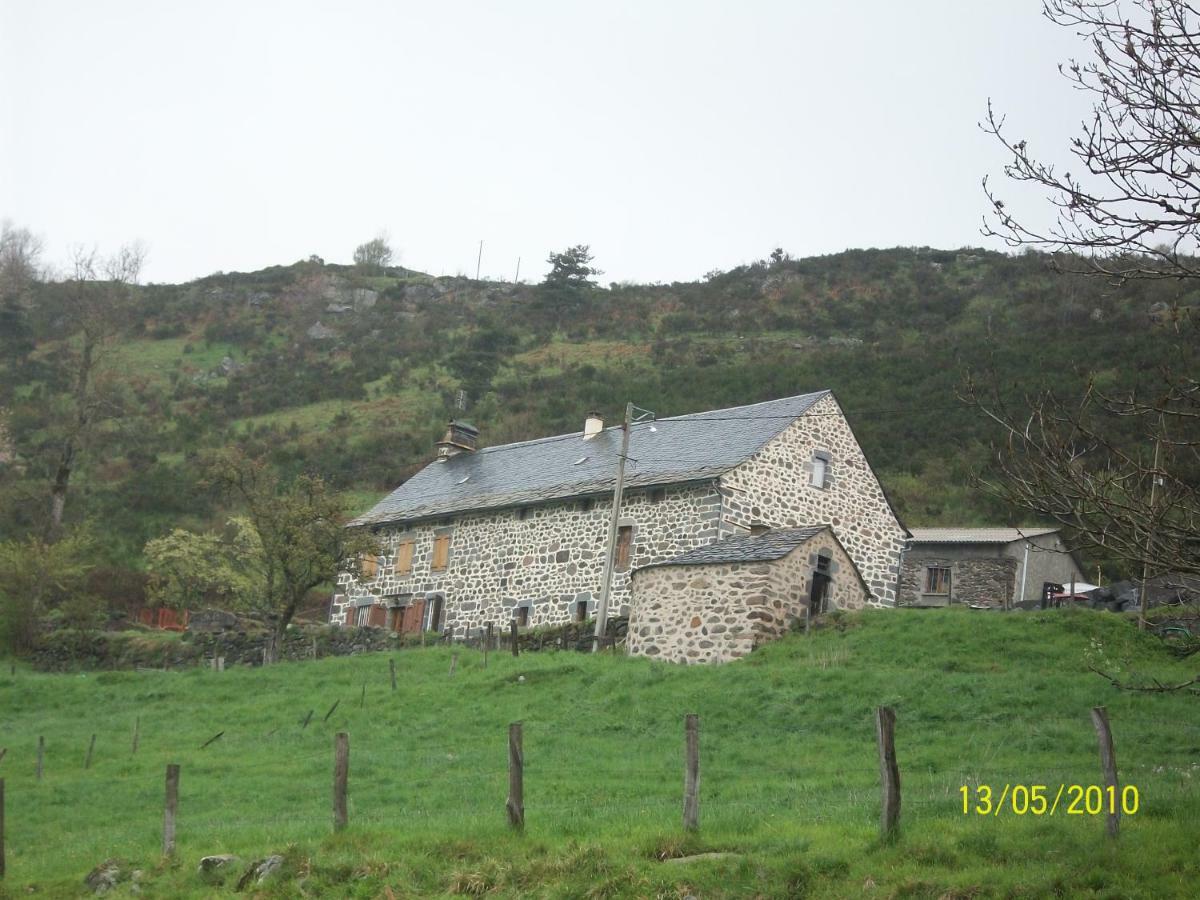 Vacances Au Pied Des Monts Du Cantal Laveissière Εξωτερικό φωτογραφία
