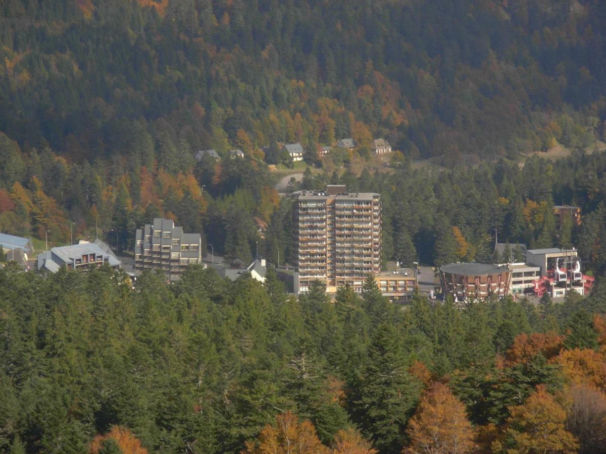 Vacances Au Pied Des Monts Du Cantal Laveissière Εξωτερικό φωτογραφία