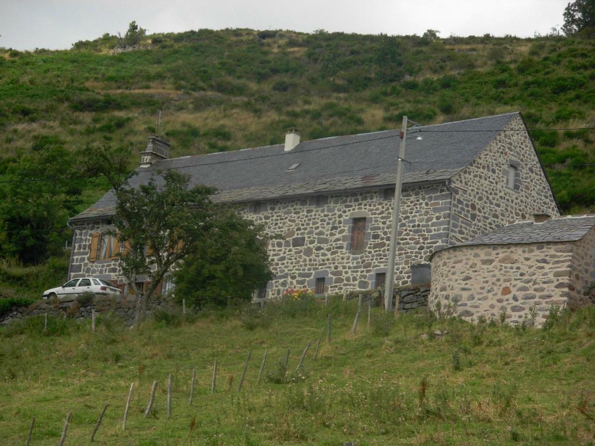 Vacances Au Pied Des Monts Du Cantal Laveissière Εξωτερικό φωτογραφία